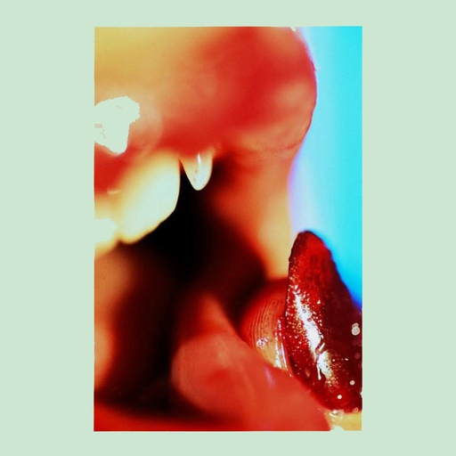 Marilyn Minter on Art, Life & Everything In Between