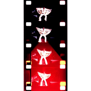 Jonas Mekas, Elvis Presley, Madison Square Garden, New York, June 9, 1972. Last New York Concert