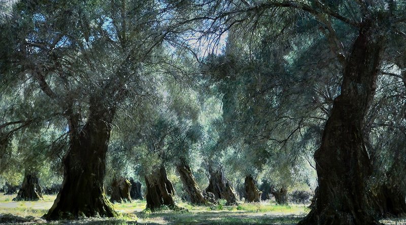 picture of the exhibition location Dreamscape III, 2016